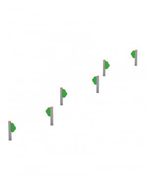 Slalom